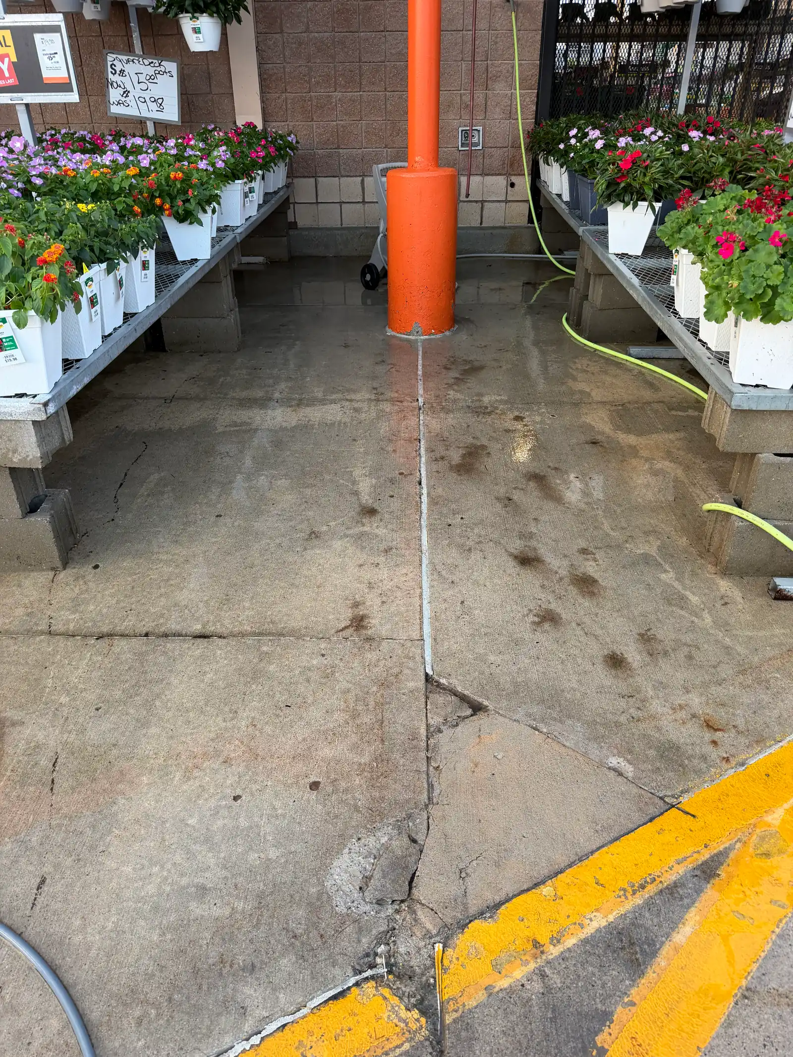 The same walkway after a commercial surface-cleaner pass