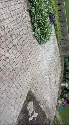 A paver patio grayed over by algae and embedded grime