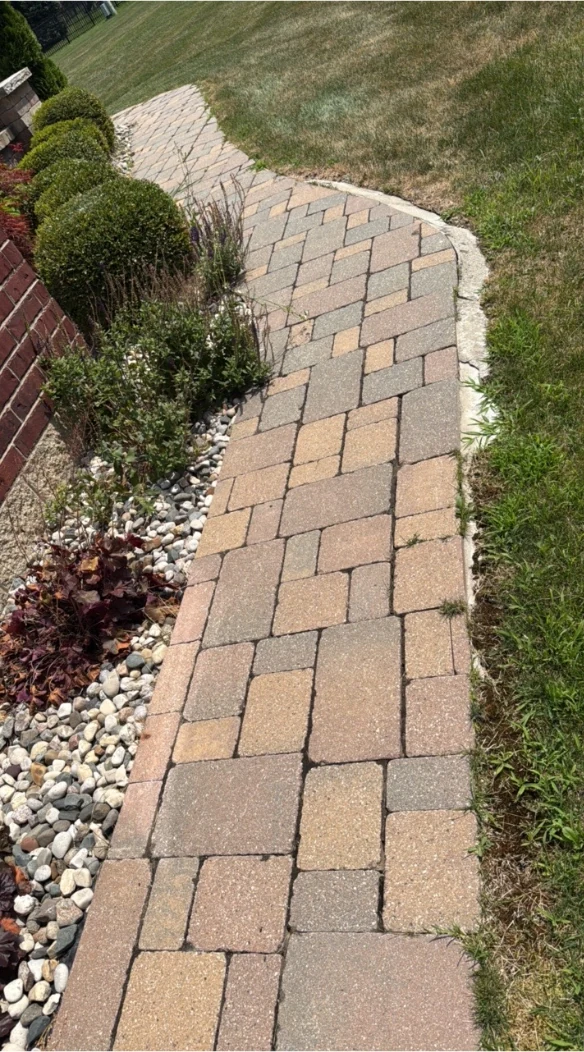A paver walkway dulled by weed growth, lost joint sand and surface algae