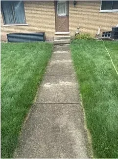 A front walkway darkened by organic staining and weathering